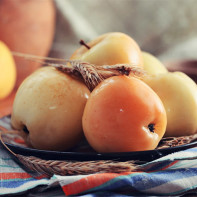 Photos of Dried Apples 2