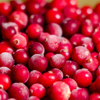 Εικόνα του cranberry