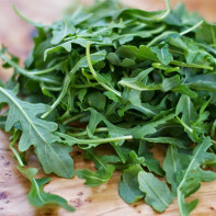 Arugula pictures 3