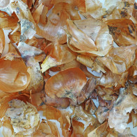 Photo of onion husks 5