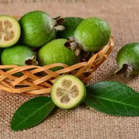 Photo of Feijoa