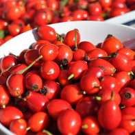 Rose hips photo