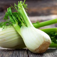 Fennel photo 5