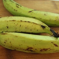 Photo of plantain 4