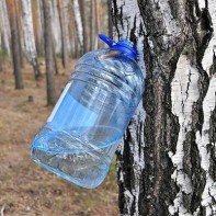 Photo of birch sap 3