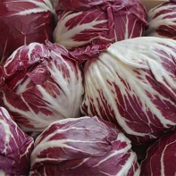 Photo of radicchio 4