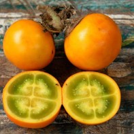 Picture of the naranjilla