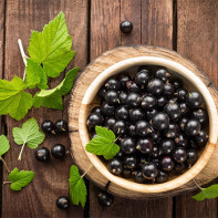 Φωτογραφία του blackcurrant 2