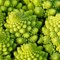 Romanesco kopūstų nuotrauka