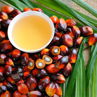 Φωτογραφία του Palm Oil 2