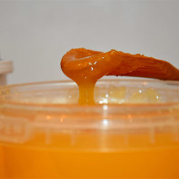 Photo of Sunflower Honey 4