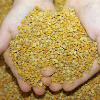 Photo of bee pollen 3