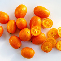 Fotografie de kumquat 5