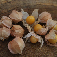 Fotografie de physalis 3