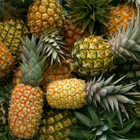 Pineapple photo