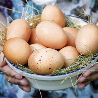 Photo of chicken eggs 3