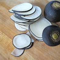 Photo of black radish 5