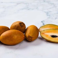 Sapodilla photo 5