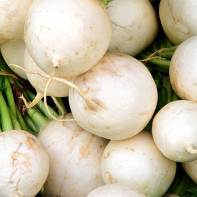 Photo of White Radish 4