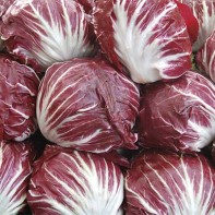 Radicchio photo