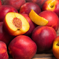 Photos of Nectarines