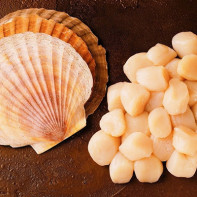 Photo of scallops 5