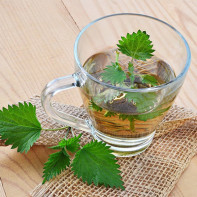 Nettle tea photo 4