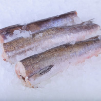 Photo of hake fish 5