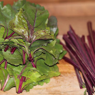 Photos of beet tops