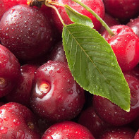 Φωτογραφία Cherry