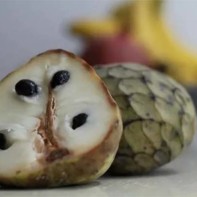 Photo of the cherimoya fruit 4