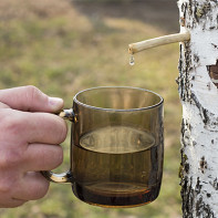 Photo of birch sap 4