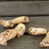 Calgan Root photo