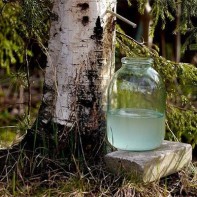 Photo of birch juice