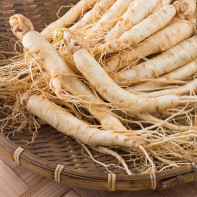 Photo of ginseng 5