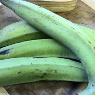 Plantain photos