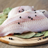 Photo of Pangasius 2