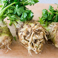 Celery root photo 3