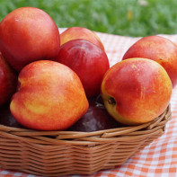 Photo of nectarines 5