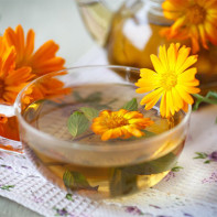 Calendula tea photo