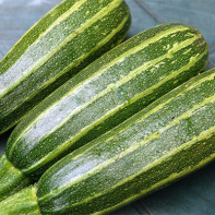 Zucchini photo 4