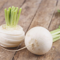 Photo of a white radish 5