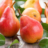 Photo of pears