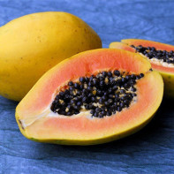 Papaya photo 4