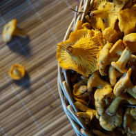 Fotografie de ciuperci chanterelles 7