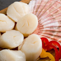 Photo of sea scallops