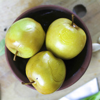 Photo of Dried Apples 4