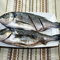 Photo of dorado fish