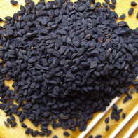 Photo of black cumin 4