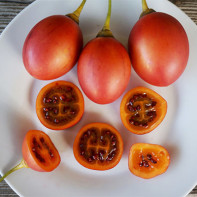 Photo du tamarillo 2